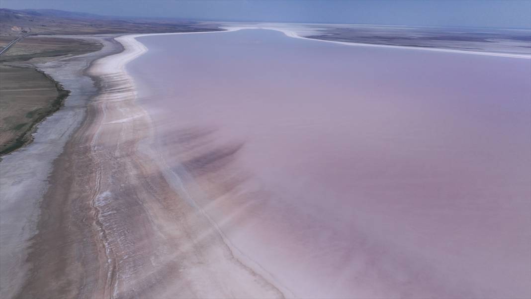 Kavurucu sıcaklar Tuz Gölü'nü kızarttı! Bakteriler cirit atıyor 9